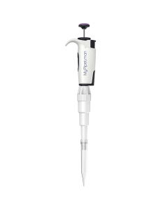 MYPIPETMAN P5000, WHITE